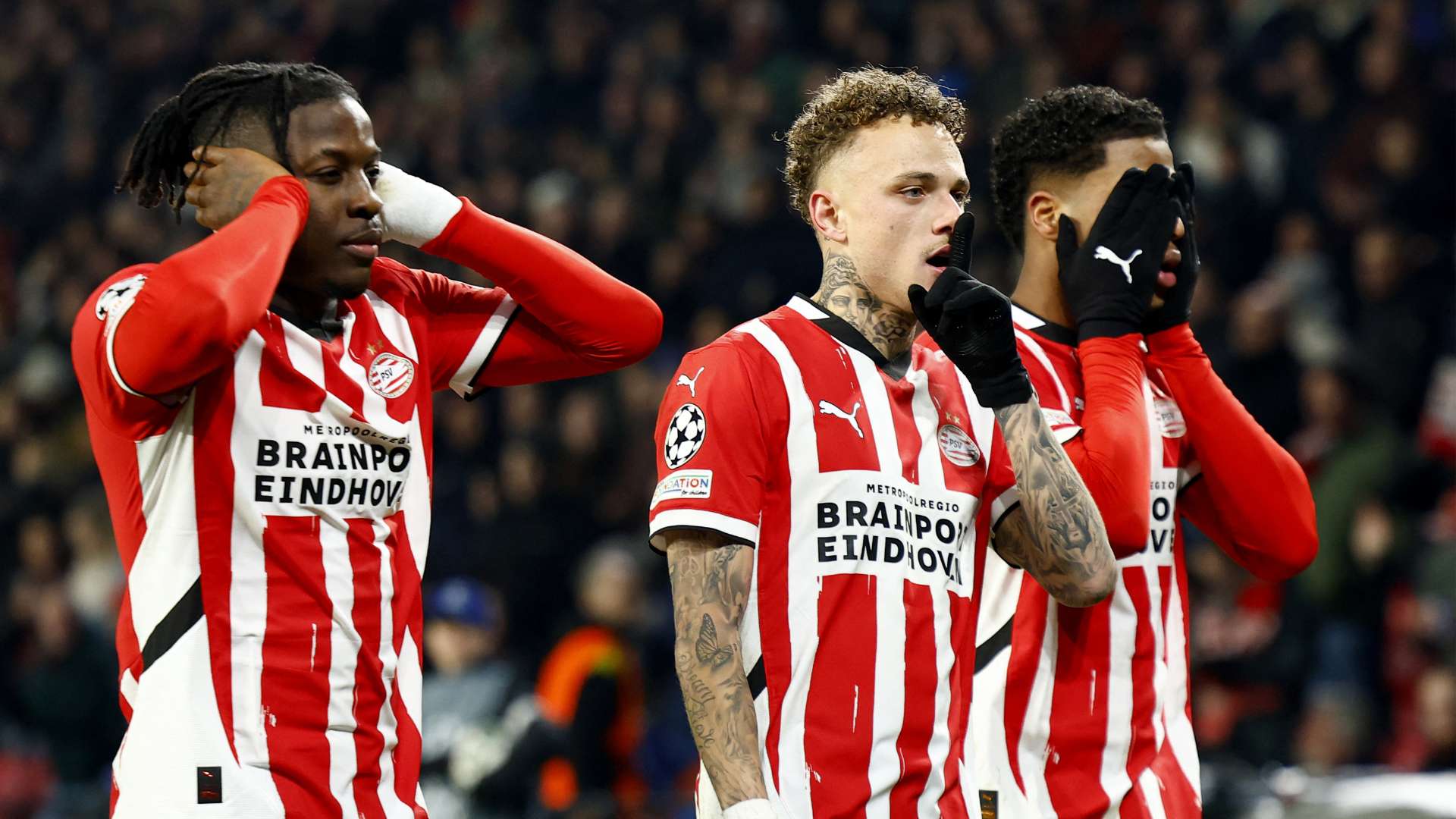 球球迷的热 球球迷的热